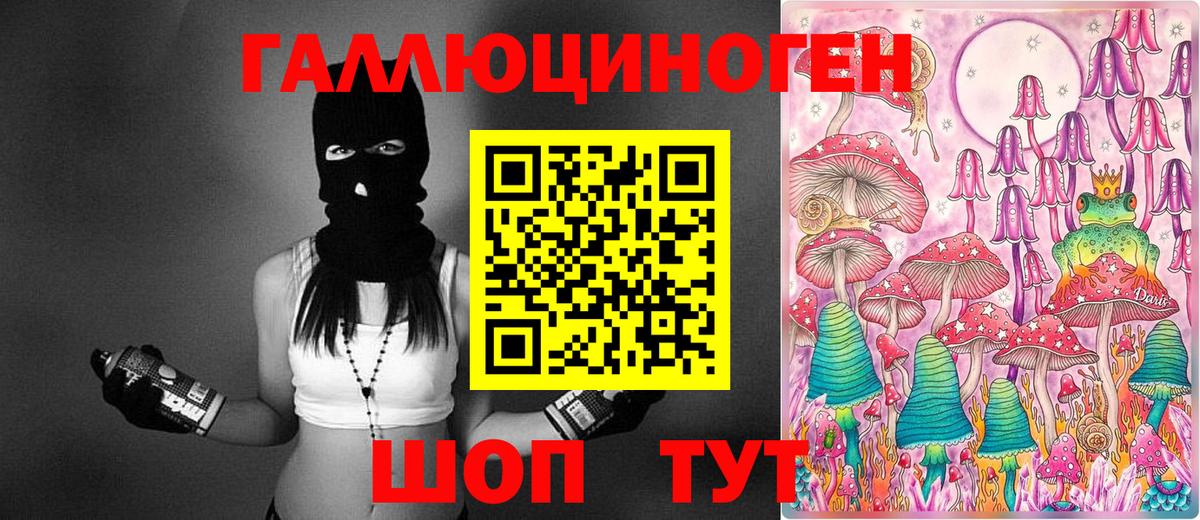 Псилоцибиновые грибы мицелий  Вход с VPN  где продают   Качканар 
