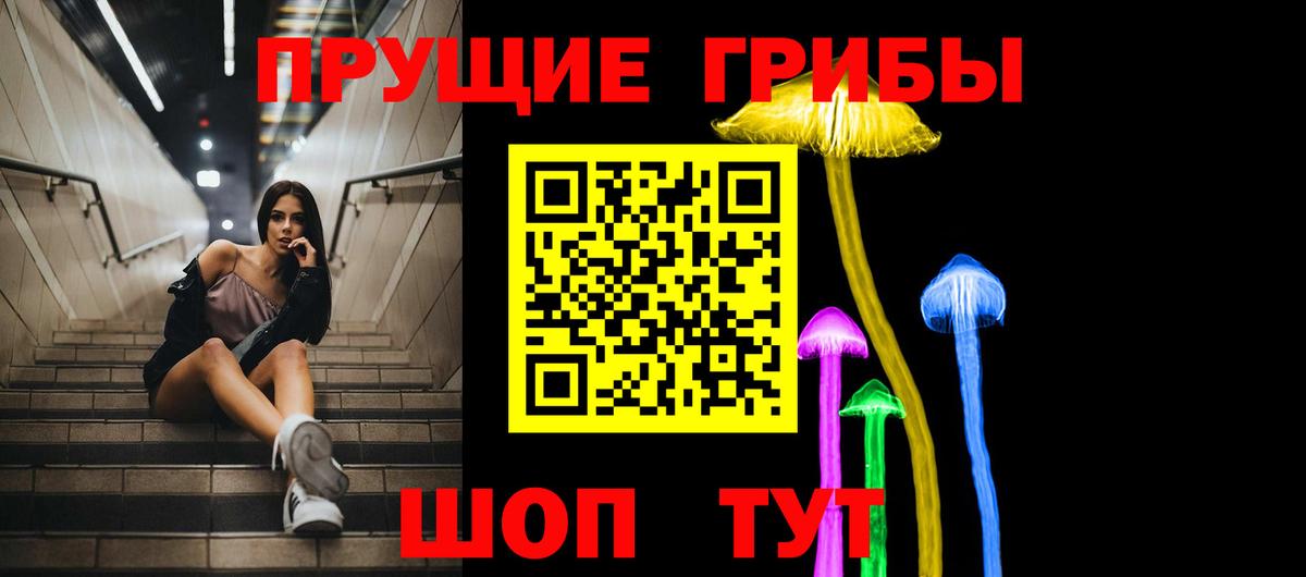 Псилоцибиновые грибы Качканар