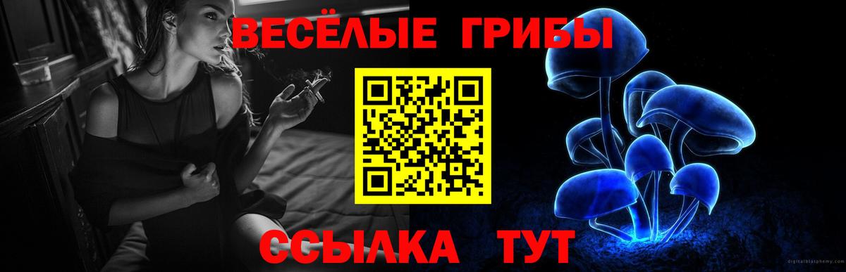 Галлюциногенные грибы MAGIC MUSHROOMS Качканар